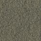 Anderson Tuftex Luxe Feel II Carpet in Bonsai, , large