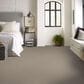 Shaw Cedar City Carpet in Park Avenue, , large