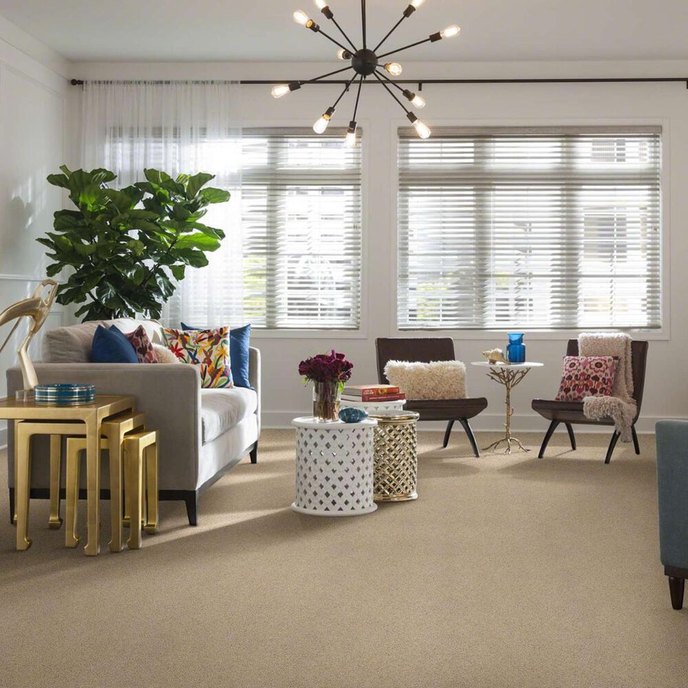 Anderson Tuftex Acadia Park Carpet in Delicate, , large