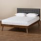Baxton Studio Devan Queen Platform Bed with Dark Grey Fabric in Walnut Brown, , large