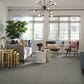 Shaw Break Away Tonal Carpet in Chrome, , large