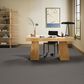 Anderson Tuftex Rhode Carpet in Deer Path, , large
