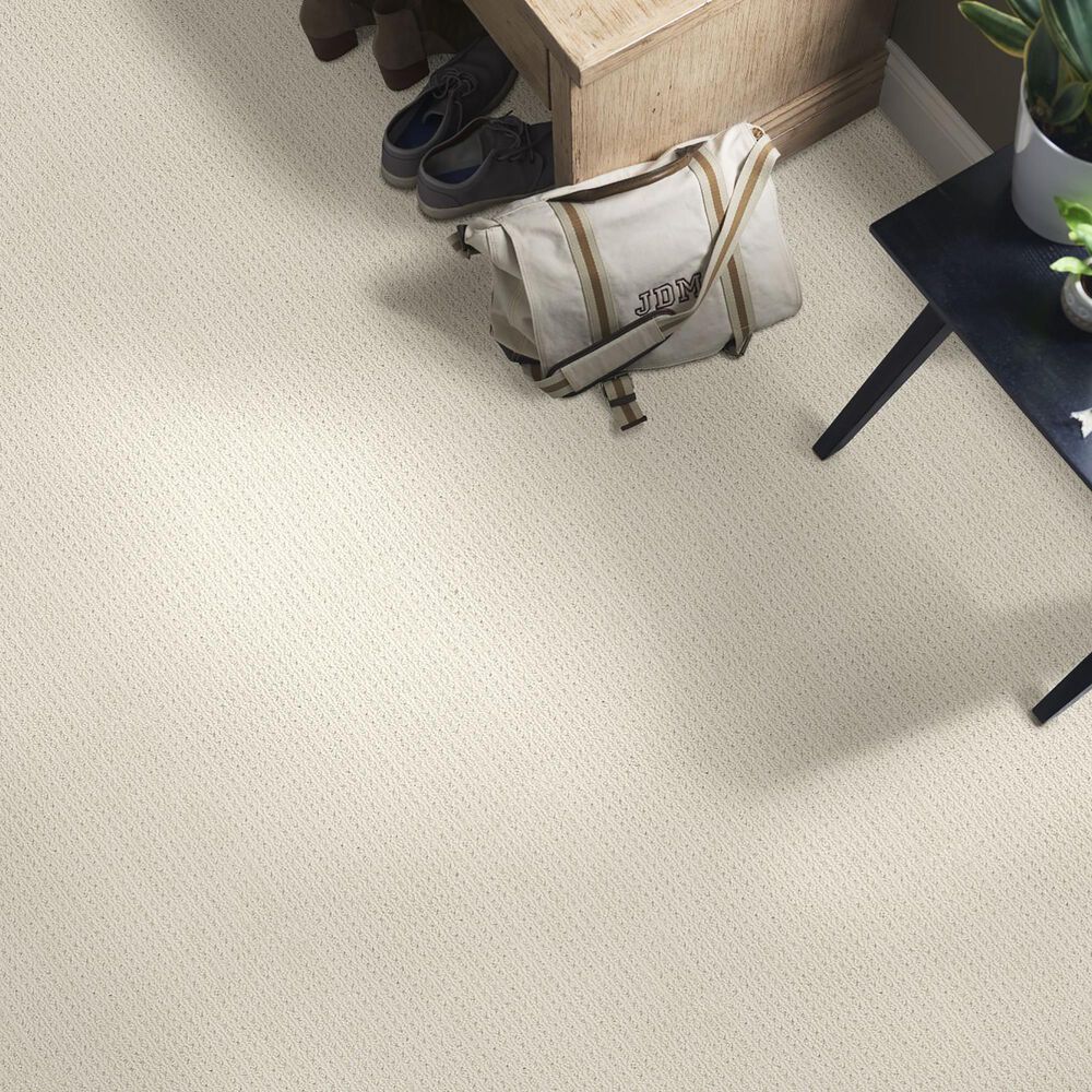Anderson Tuftex Cabo Cove Carpet in Aged White, , large