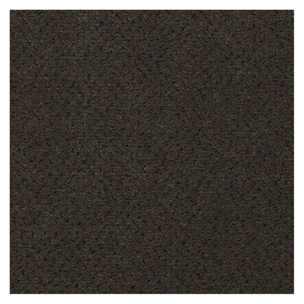 Shaw Next Generation Carpet in Scholar, , large
