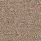 Shaw West Haven Carpet in Spanish Sand, , large