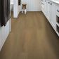 Shaw Pet Perfect Warm Honey 9" x 60" Luxury Vinyl Plank, , large
