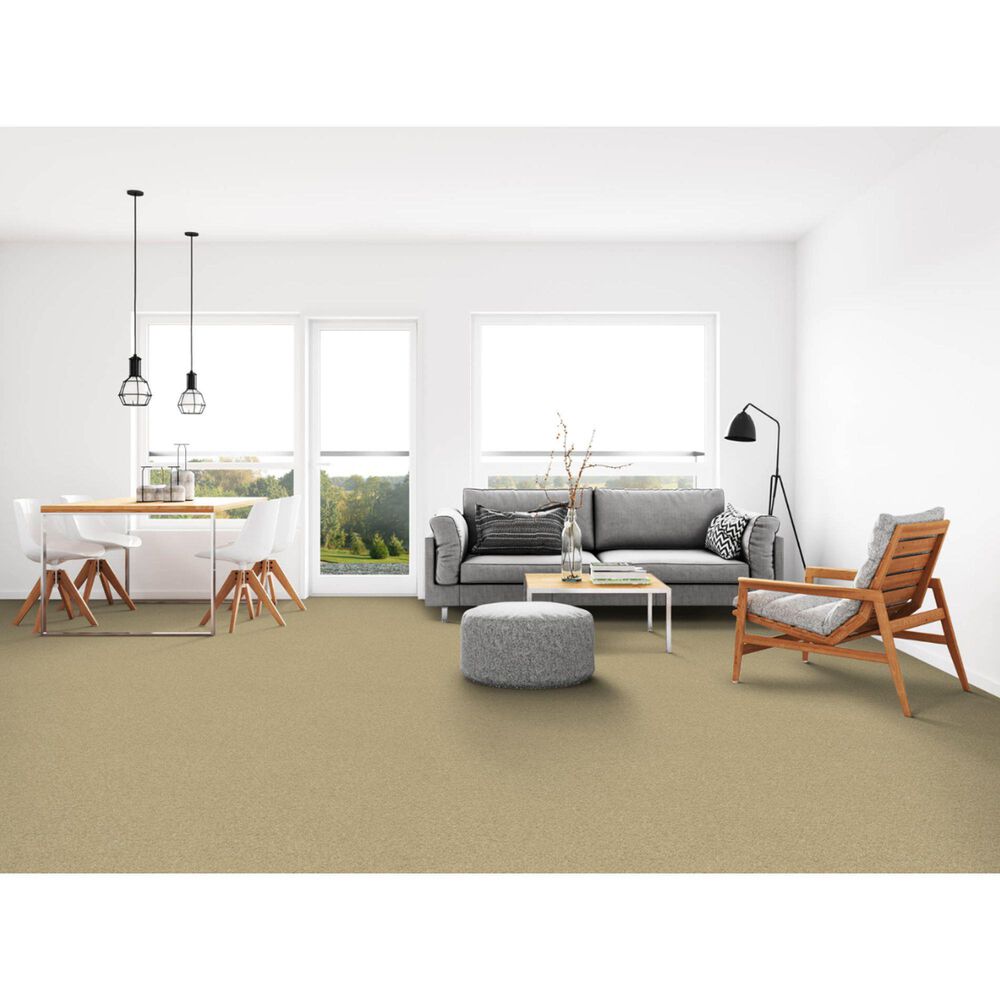 Dixie Home Simplicity Carpet in Driftwood, , large