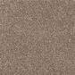 Mohawk Bold Creation Carpet in Bed Rock, , large
