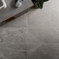 Soho Studio Montech Silver 12" x 24" Matte Porcelain Tile, , large