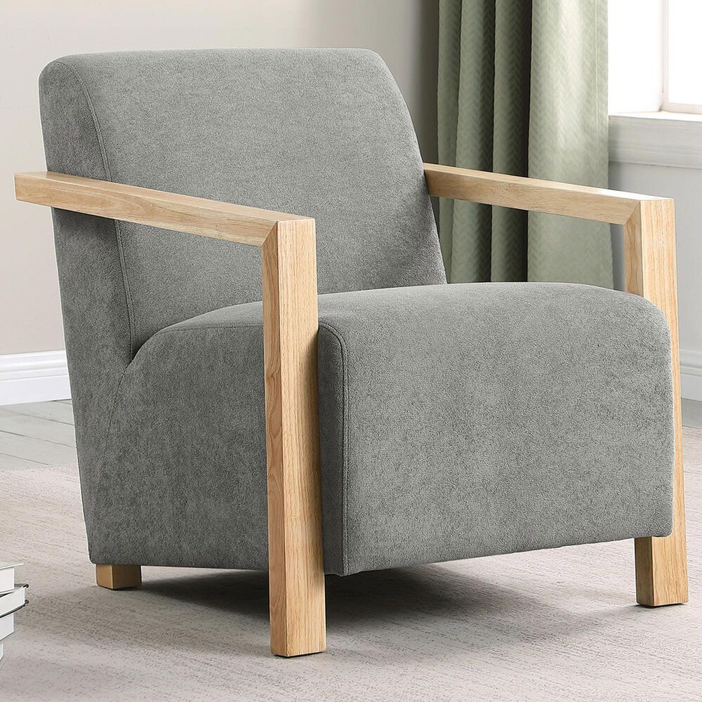 Coaster Diego Accent Arm Chair in Grey, , large
