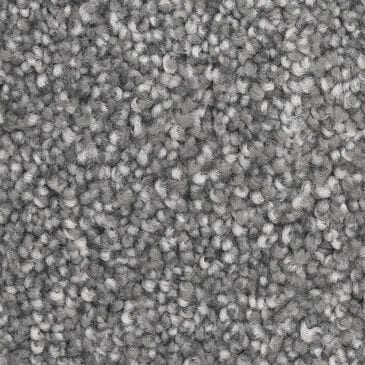 Dixie Home Dx835 Carpet in Steel, , large