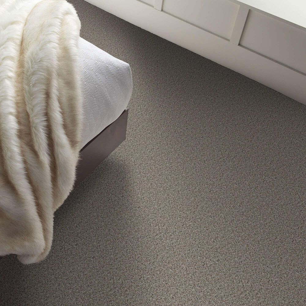 Shaw Abilene I Carpet in Powerful, , large