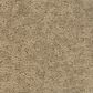 Godfrey-Hirst Inspiring Selection Carpet in Ecru, , large