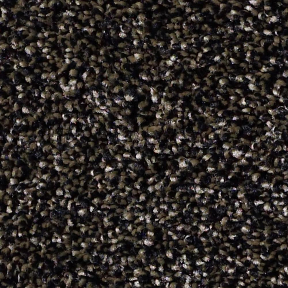 Shaw Making The Rules III Carpet in Black Rich Earth, , large