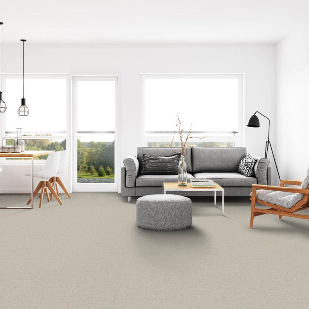 Dixie Home Genuine Carpet in Faithful, , large