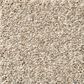 Shaw Tonal Comfort II Carpet in My Haven, , large