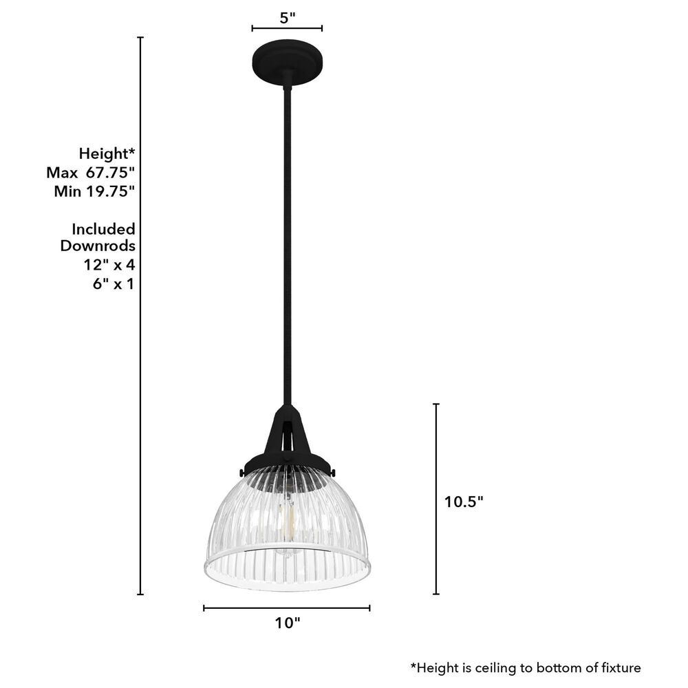 Hunter Cypress Grove 10&quot; 1-Light Pendant in Natural Iron, , large