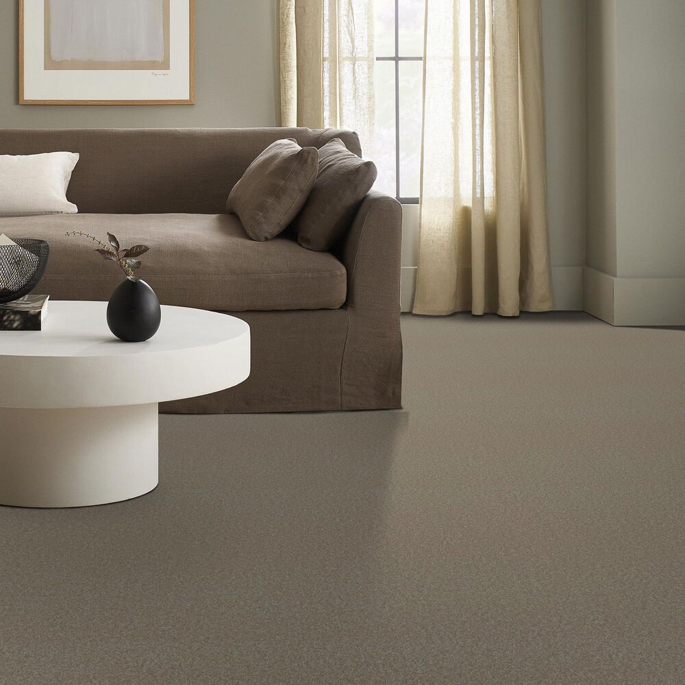Anderson Tuftex Elegant Beauty Carpet in Atmosphere, , large