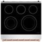 Thor Kitchen Gordon Ramsay 4.6 Cu. Ft. Professional Freestanding Electric Range with Rose Gold Handle Kit in Stainless Steel, , large