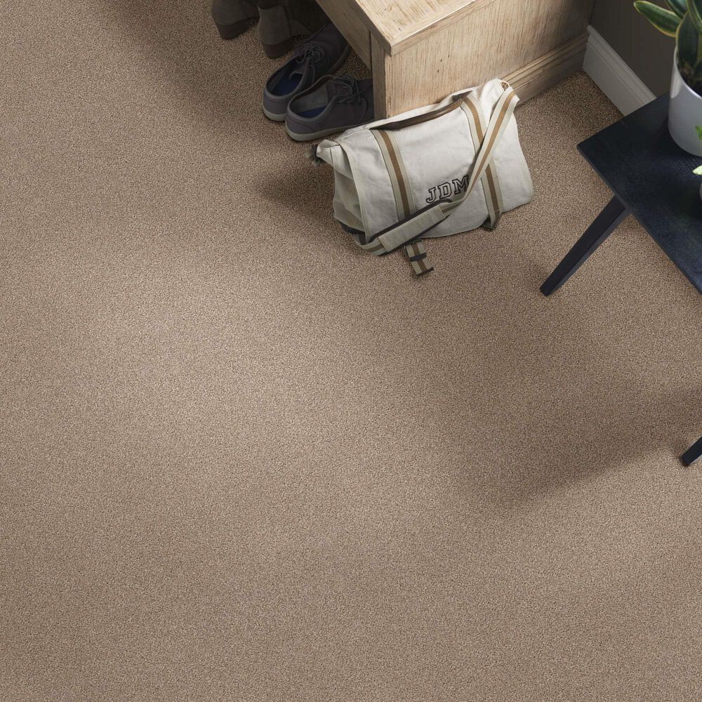 Anderson Tuftex Caress Cozy Harbor I Carpet in Natural Beauty, , large