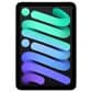 Apple iPad Mini Wi-Fi 128GB - Space Gray with 2-Year AppleCare+, , large