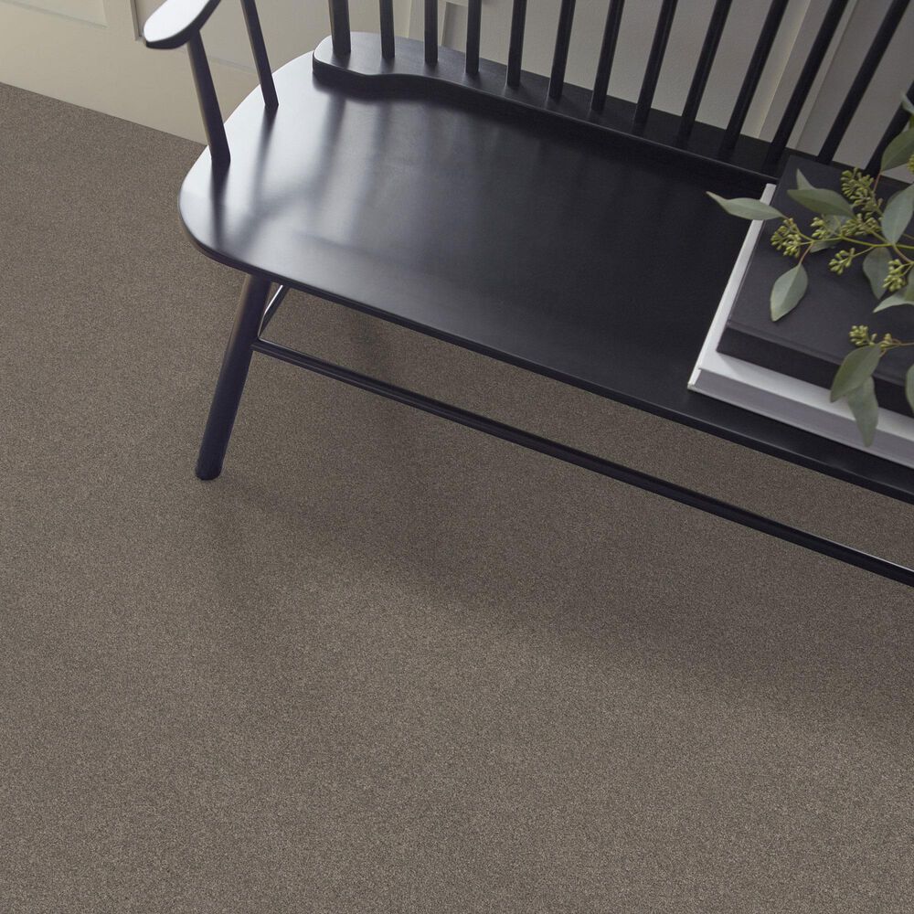 Shaw New Memories T Carpet in Hideaway, , large