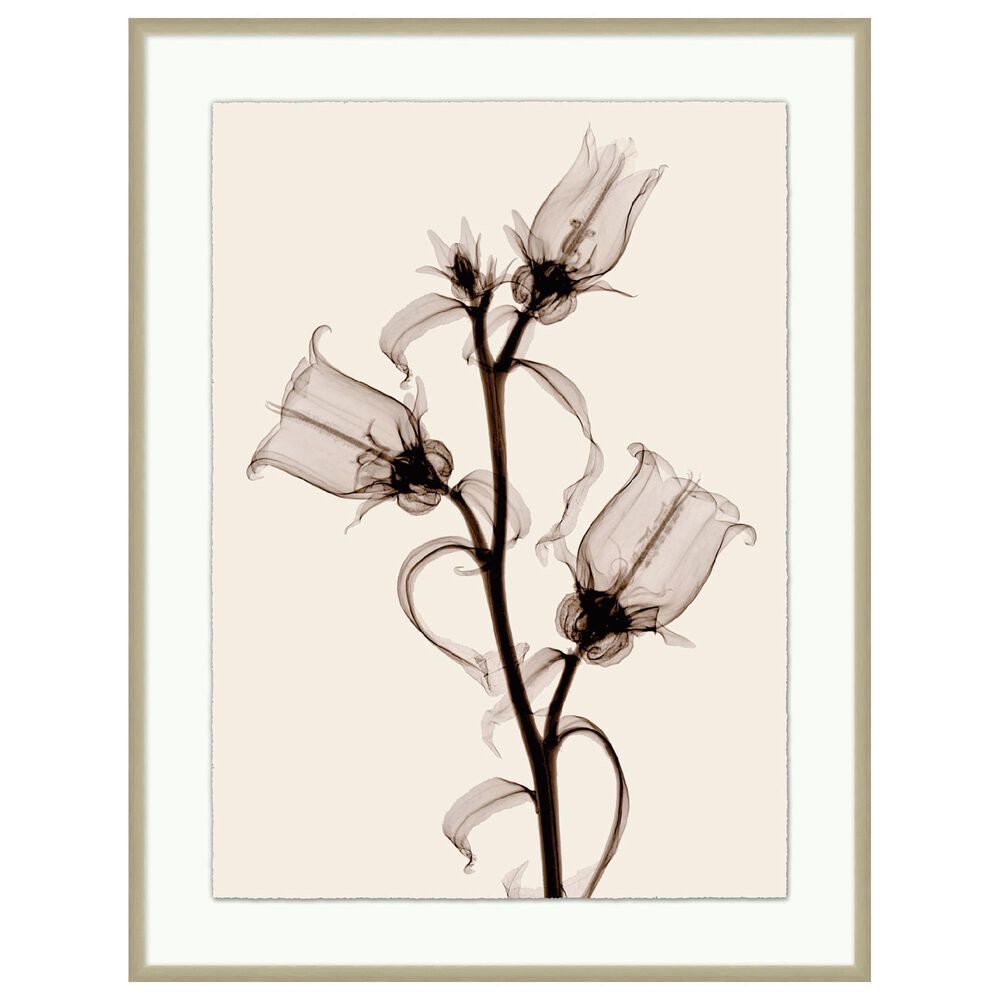 Wendover Art Sepia Floral 3 43.5" x 33.5" Wall Art in Warm Silver, , large