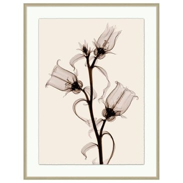 Wendover Art Sepia Floral 3 43.5" x 33.5" Wall Art in Warm Silver, , large