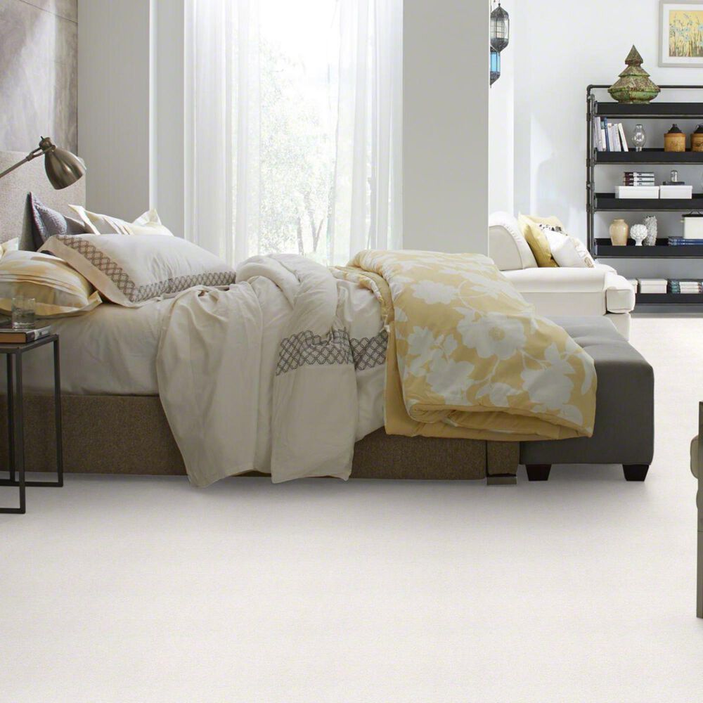 Philadelphia Basic Rules Carpet in Super Fine, , large