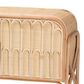 Baxton Studio Gitano 2-Door Rattan Storage Cabinet in Natural, , large