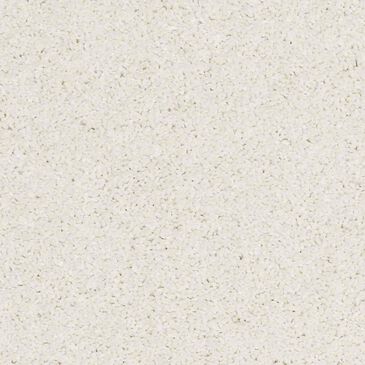 Anderson Tuftex Barracan Classic III Carpet in Icelandic, , large