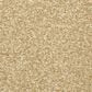 Masland Classical Carpet in Tempo, , large