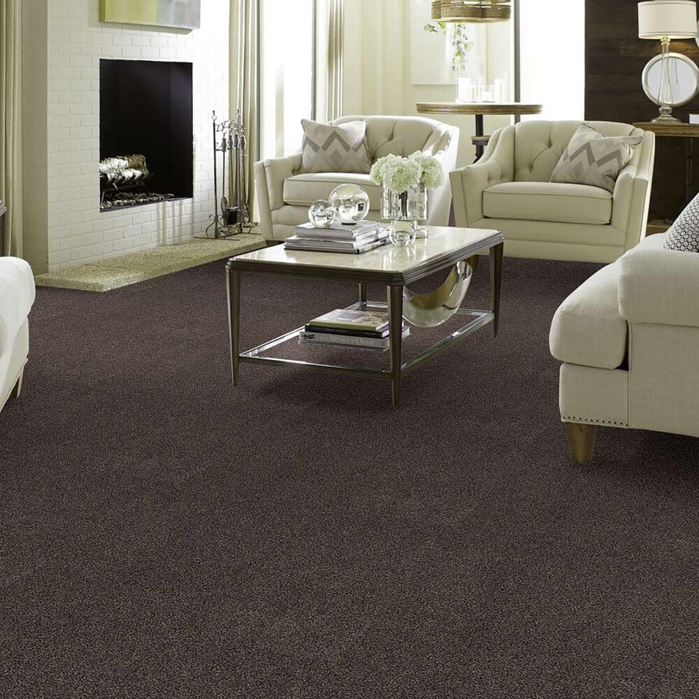 Anderson Tuftex Caress Cozy Harbor I Carpet in Burma Brown, , large