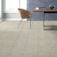 Anderson Tuftex Caress Rustique Vibe Carpet in Awaken, , large