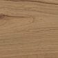 Riva Ridge Chateau Philippe Half Pedestal Desk in Cognac, , large