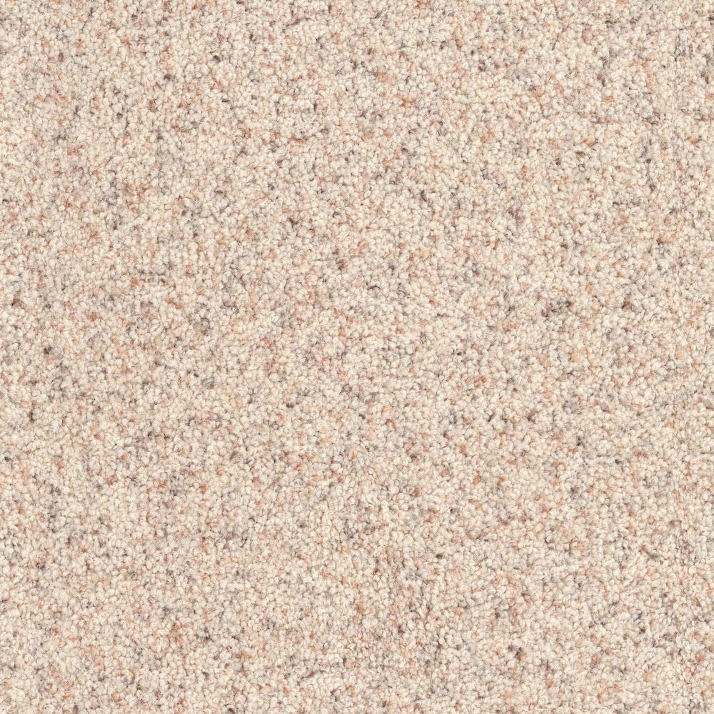 Dixie Home Bella Carpet in Pet, , large
