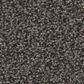 Shaw Tonal Comfort Ii Carpet in Weekend Getaway, , large