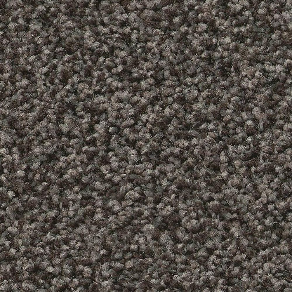 Shaw Tonal Comfort Ii Carpet in Weekend Getaway, , large