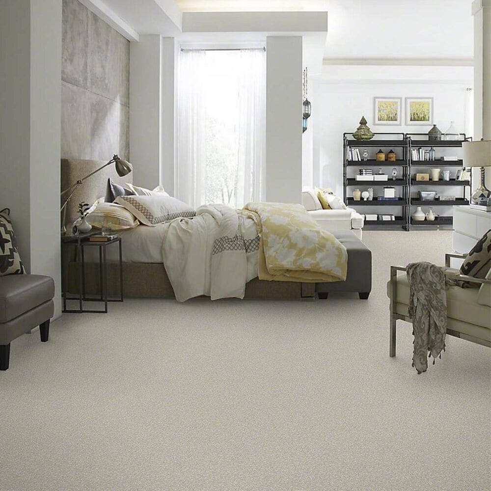 Anderson Tuftex Barracan Classic II Carpet in Sterling, , large