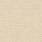Masland Festivities Carpet in Ambiance, , large