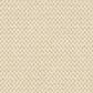 Masland Festivities Carpet in Ambiance, , large