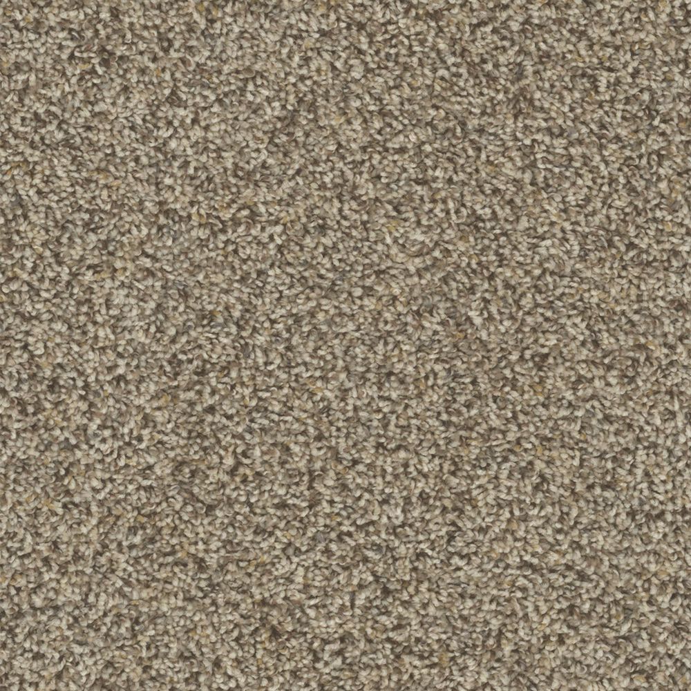 Dream Weaver Toast of The Town Carpet in Oakfield, , large