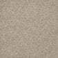 Dream Weaver Astounding III Carpet in Fine Details, , large