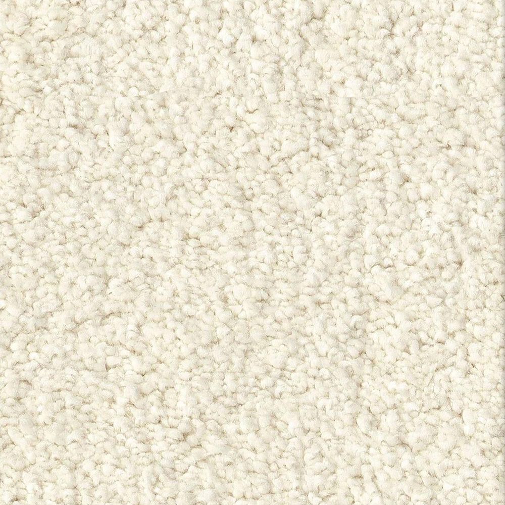 Anderson Tuftex Luxe Feel II Carpet in Icelandic, , large