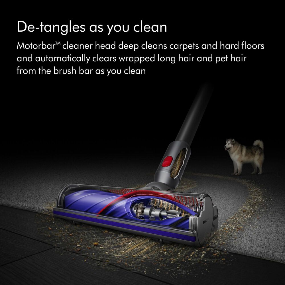 Dyson V10 Animal Cordless Stick Vacuum in Iron | NFM