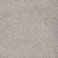 Mohawk Windsor Gardens II Carpet in Natural Grain, , large
