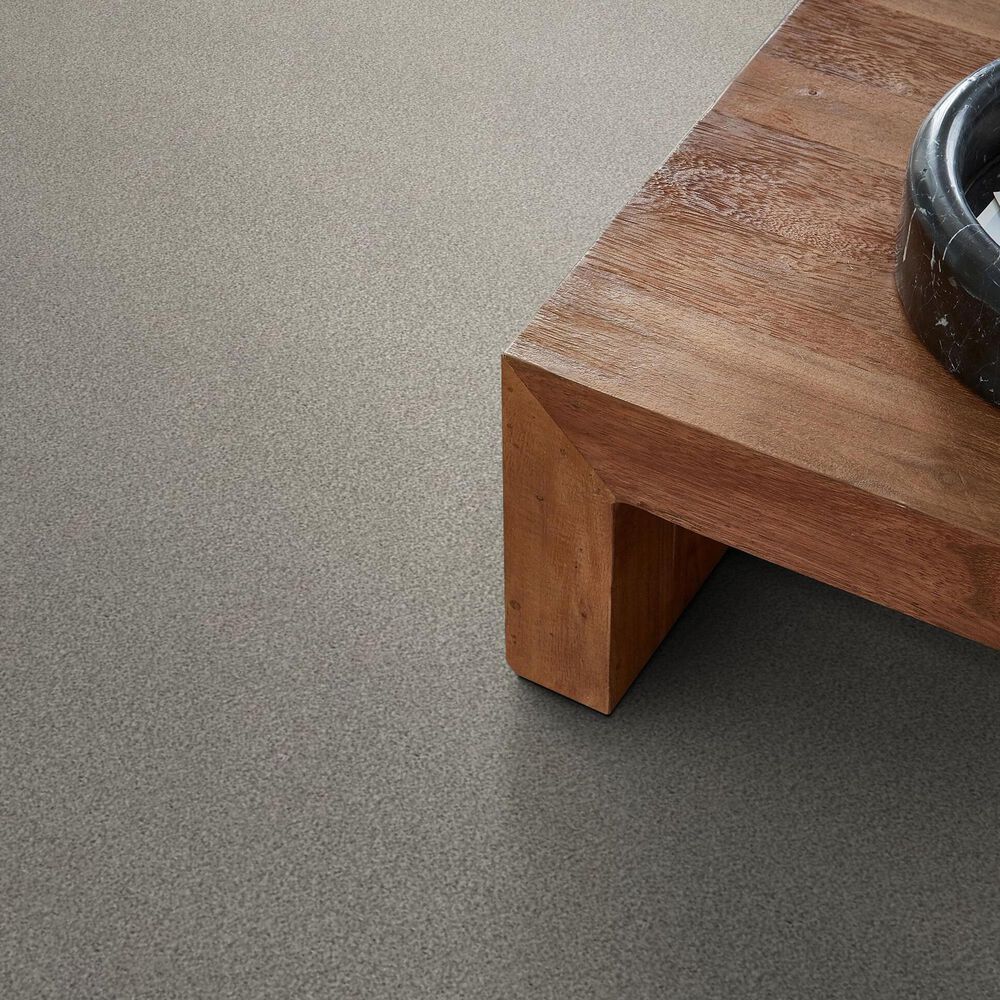 Shaw Tonal Comfort I Carpet in Back Patio, , large