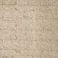 Mohawk Paw-Some Plaid Carpet in Tawny Silk, , large