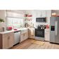 Amana 4.8 Cu. Ft. Electric Range with Electronic Controls in Stainless Steel, , large