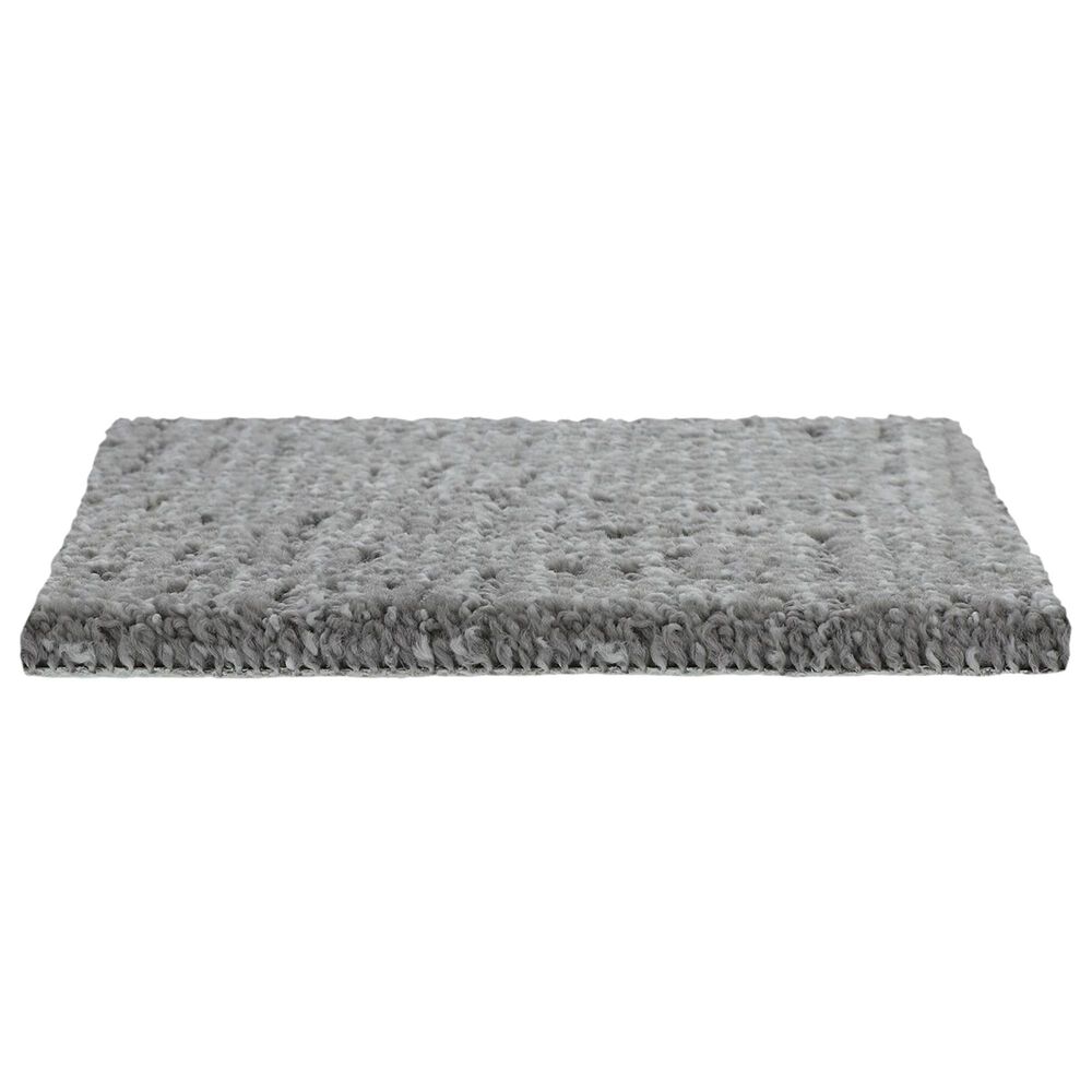 Mohawk Natural Texture Carpet in Stardust, , large